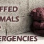 Donating Your Used Stuffed Animals