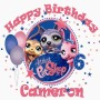 Unique Custom Personalized Theme Birthday Shirts